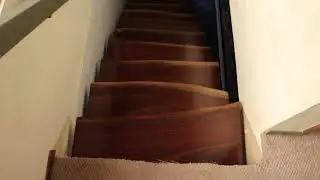 Heart Of Timber Live Edge Walnut Staircase Installed Pt. 2