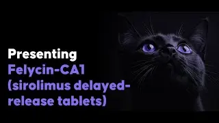 Felycin-CA1 ACVIM Launch Video