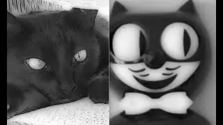 Felix the Cat Motion Clock Merges w/ Real Life Cat - TikTok - Kit Kat
