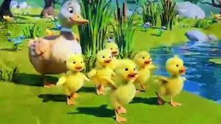 Five Little Ducks Song For Kids | 3D Animated Nursery Rhymes | Kids Songs & Rhymes