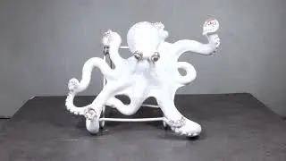 Nautical Marine Antique White Giant Octopus Multi Point Tentacles Wall Hooks