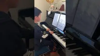 Einsamer Wanderer - Grieg (by Eric Ding)