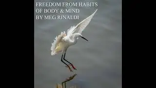 Freedom From Habits of Body & Mind: Body Centered Practices for Your Whole Being - Meg Rinaldi