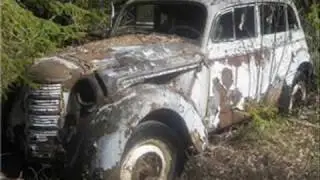 Metsälöytö autot