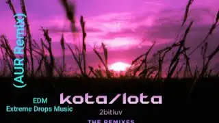 kota/lota - 2bitluv (AUR Remix) [EDM Release] | Genre: