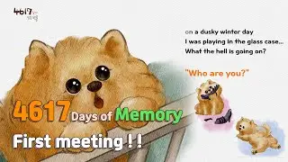 4617Days of Memory! Memories with the dog that went away