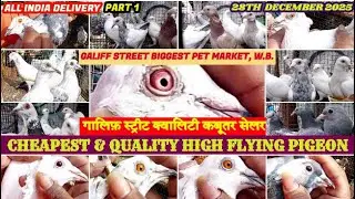 Galiff Street Market Quality High Flying Pigeon Seller| পশ্চিমবঙ্গের সবচেয়ে বড় পায়রার হাট | 28/12/25