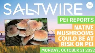 Native mushrooms could be at risk on PEI