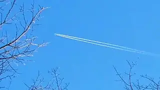 🤳I Lost My Memory & Got Those Milky White Blues!☁✈ 1/31/2026; 12:30 p.m.+