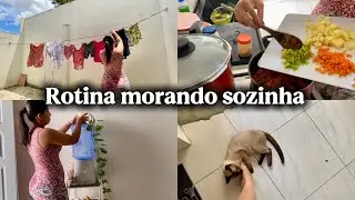 ROTINA MORANDO SOZINHA: vida real sem filtros, treino, receita de arroz temperado & muito mais