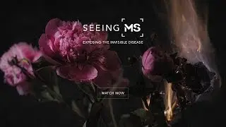 Seeing MS - EXPOSING THE INVISIBLE DISEASE