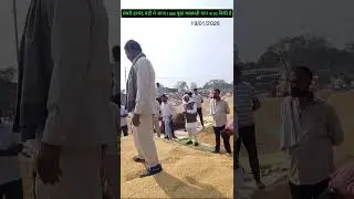 &ldquo;Semari Harchand Mandi Dhaan Live Nilami 😱 Aaj ke Tez Bhav #mandi #semri #kisan #agriculture #news 