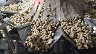 Nuts  peanuts rotary premade bag packing machine doy zipper bag packing machine