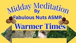 Calm Summer Afternoon 🔔 Immersive Nature Ambience for Anxiety Relief