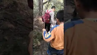 Lawson nsw bushwalk
