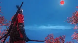 Atlast reached 2nd phase with basic exp | Genichiro Ashina phase 2|SEKIRO  SHADOWS DIE TWICE|