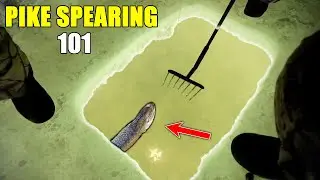 DarkHouse Pike Spearing 101: Everything You Need To Start