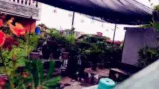 Rooftop Sessions - Closer