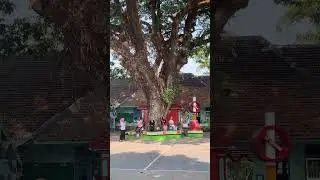 Pemilihan Ketua OSIS SMP Negeri 4 Madiun 2023/2024 #5