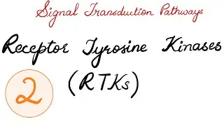 SIGNAL TRANSDUCTION PATHWAYS - RECEPTOR TYROSINE KINASES ( RTKs )