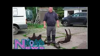 10,500-year-old extinct Great Irish Elk skull and antlers found in lake