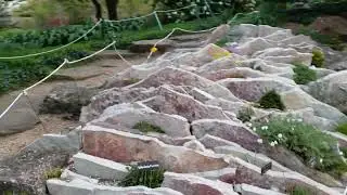 New Crevice Garden Showcasing Miniature and Alpine Plants, Chicago Botanic's Rock Garden, May 2023