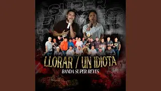 Llorar/Un Idiota