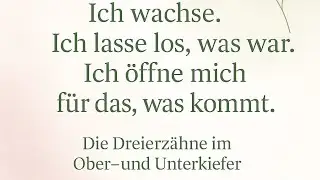 💚 Die Dreier-Z&auml;hne  im Ober- und Unterkiefer &ndash; Loslassen, Wachsen und ins Leben kommen 🌿