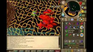 Dreadnips at Jad