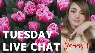 Tuesday morning live chat
