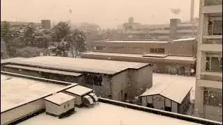 #SnowStorm#WinterWeather#Snowfall#SnowyScenes#WinterMagic#WinterWonderland#SnowyDay#Snowy#Japan