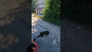 Мото ситуация маленький УЖ #shorts #honda #vtr #motovlog #kazan #moto #bikelife #bikers #snake