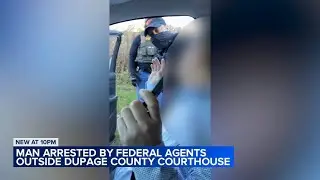 Man arrested by federal immigration agents outside DuPage County Courthouse, video shows