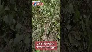 Duttapukur Incident : দত্তপুকুর থানার অন্তর্গত খোরকি গ্রামে বিস্ফোরণ, আহত ৫ শিশু