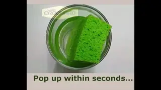 Car Washing & Printing Plate Cleaning Sponge - Crocyard Trading Auto Parts & Accessories