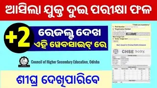 + Exam 2 Result Check Online - 12th Exam Result - +2Result Website Odisha 2024 -CHSE Plus Two Result