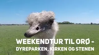 Weekendtur Til Or&oslash; - Dyreparken, Kirken Og Stenen