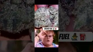 This Is the #1 Strain of 2025 🔥 Wizard Fuel 🧙&zwj;♂️ #shorts #weedshorts #topstrains