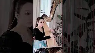 313. Hot Girl playing musical instrument. 美女演奏乐器