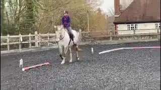 Flash N24