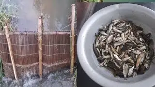 চারো দিয়ে মাছ ধরলাম