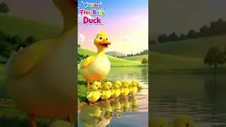 #funny  ducks five