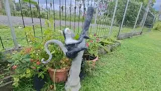 ESCULTURA EN CEMENTO  DE MONO CARA BLANCA