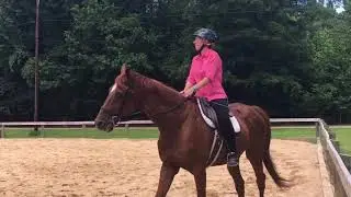 Rosie Becker PATH TR Instructor Riding Exam