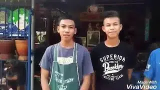 English Sawaiwit F.P.D.A