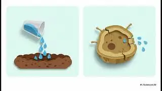 Cellular Environment as a Primary Cause of Cancer: Cellular Dehydration and Gut Leakage