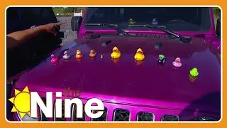 Michigan's Largest Jeep Show & Shine Returns to Benefit HAVEN of Oakland County | The Nine