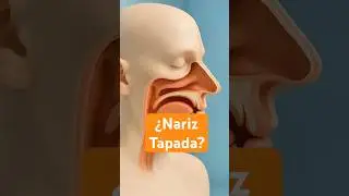 👃🏻❌ Razones por las que tu nariz se congestiona