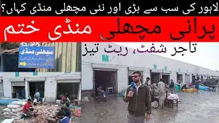 Lahore Largest Fish Market | Old Fish Market Finish | New Fish Market | Sasti Machli Mandi Near Ravi