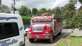 Cultura vial en crisis, conductores se pasan la luz en rojo del sem&aacute;foro